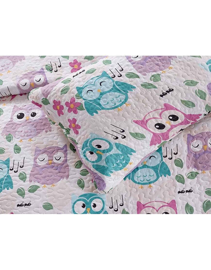 Elegant Home Cute Beautiful Girls Mutlicolor Pink White Blue Purple Floral Owl with Hearts Design 2 Piece Coverlet Bedspread Quilt for Kids Teens Girls Twin Size # Owl Twin Size - BRLCCB1MN