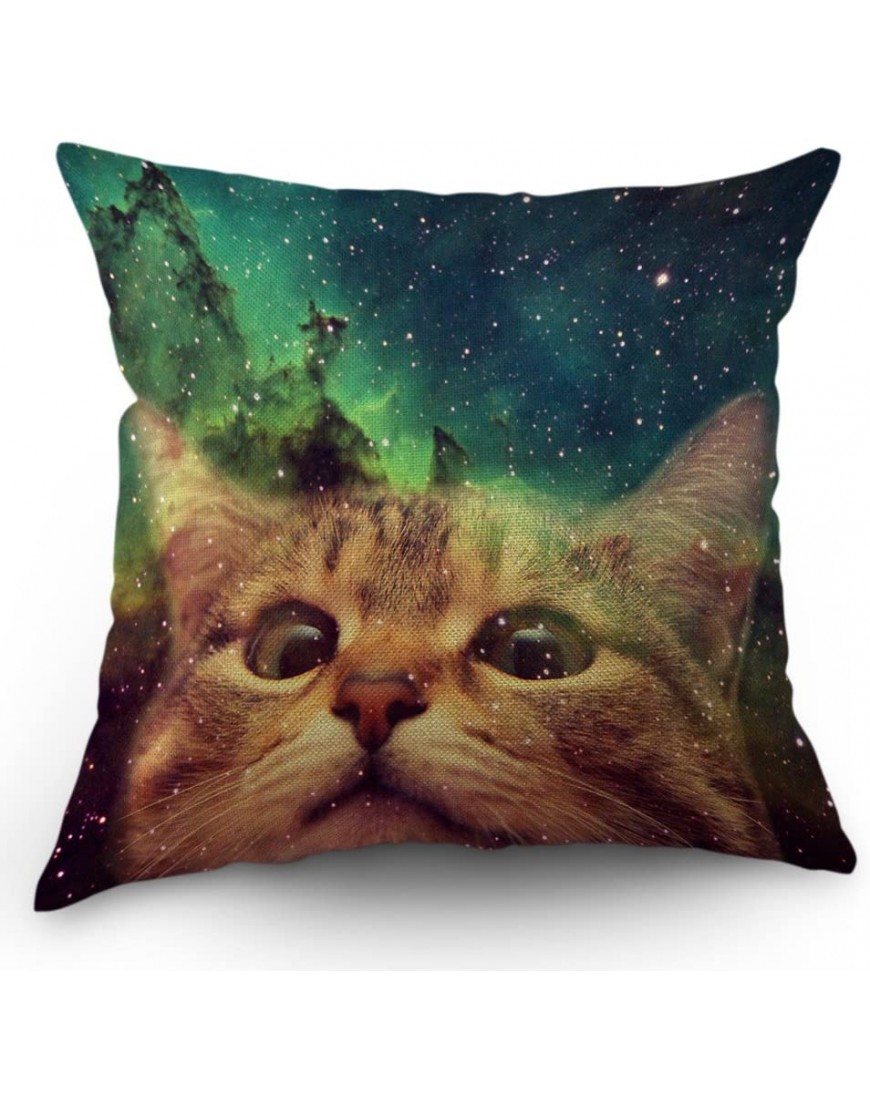 Moslion Space Cat Pillow Case Home Decorative Funny Hipster Cat on The Galaxy Throw Pillow Case 18 x 18 Inch Cotton Linen Cushion Cover for Men Women Green Brown - BCUS6QDPW