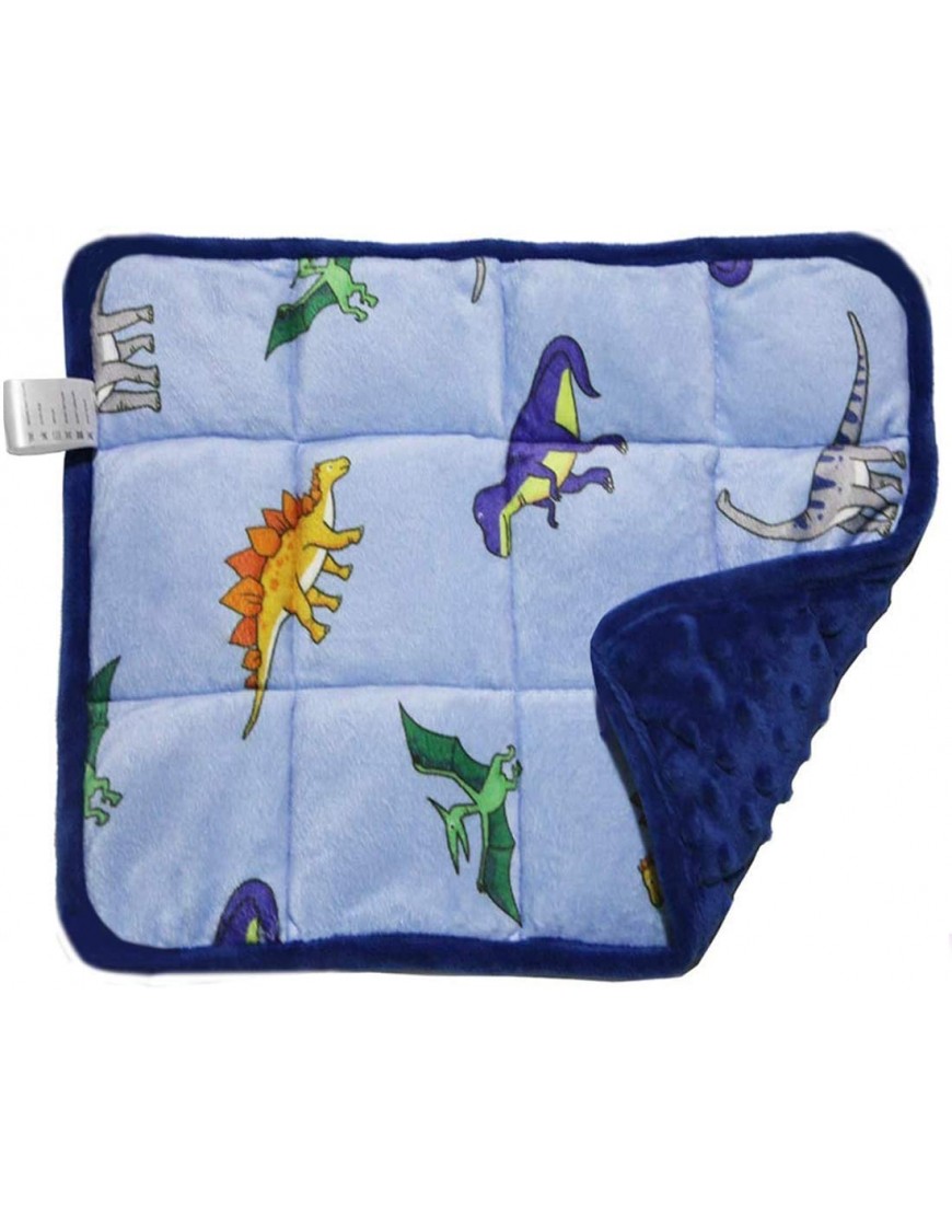 MAXTID Lap Pad for Kids 5 Pounds Kids Lap Blanket Pad Blue Dinosaur 16x22 for Boys Gift - BFKW790SM