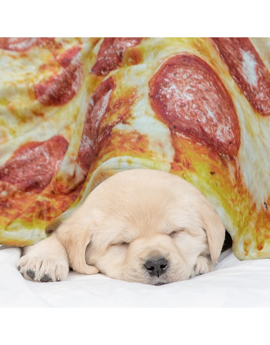 QIYI Pizza Blanket 2.0 Double Sided for Adult and Kids Giant Funny Realistic Food Throw Blanket Novelty Round Taco Blanket Warm Soft Burritos Tortilla Blanket 60 in Diameter Prosciutto Pizza 2 - B6KK65HHB