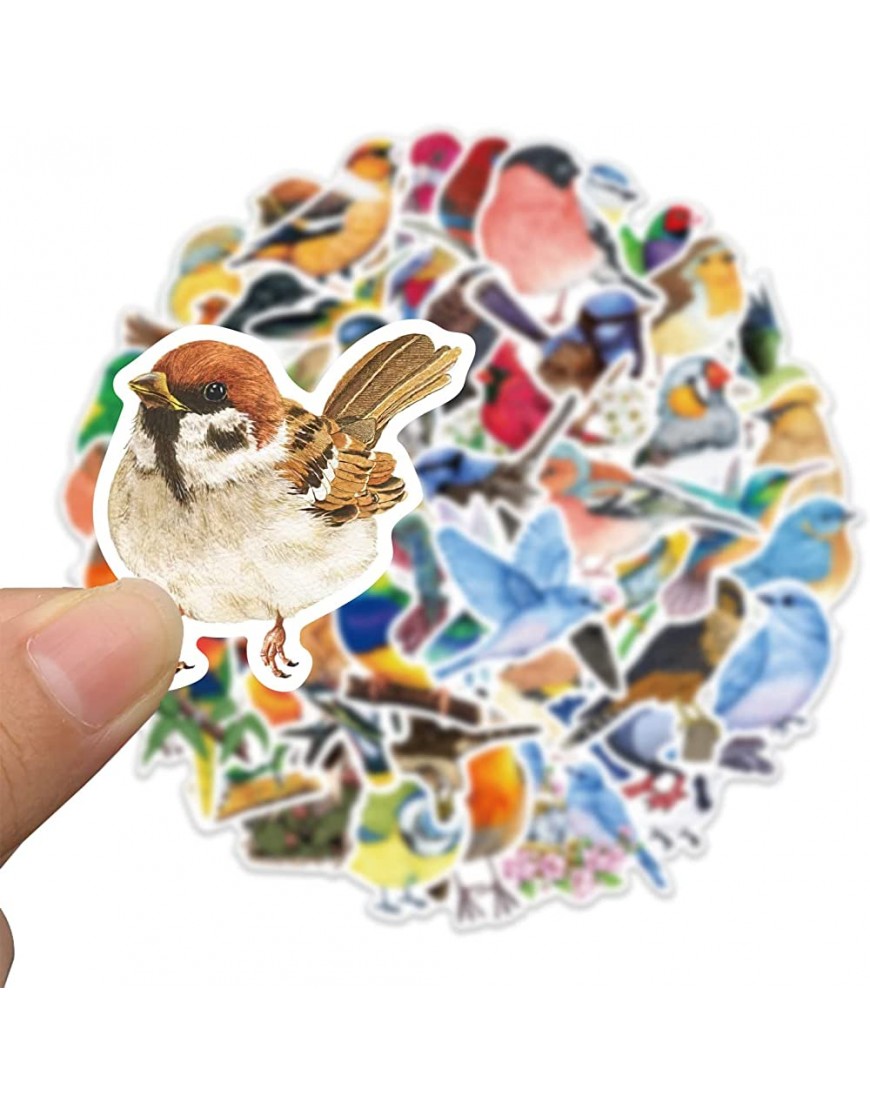 Colorful Watercolor Style Bird Graffitis Stickers Decorate Luggage Notebook DIY Waterproof Stickers Big Book of Stickers Multicolor One Size - B42VFC42J