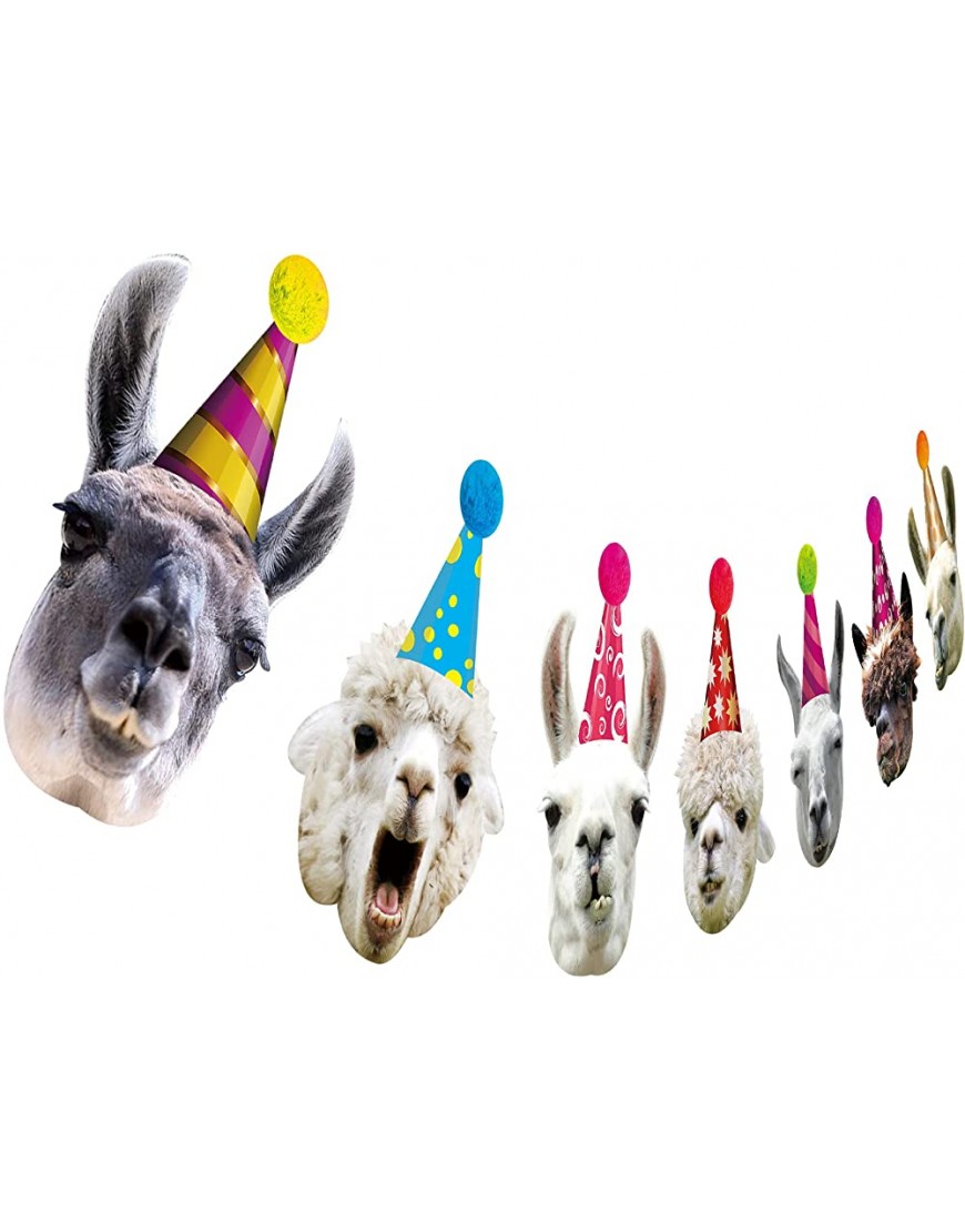 Llama Birthday Garland Funny Alpaca Face Portrait Bunting Hilarious Bday Party Decoration… - B070MTTRU