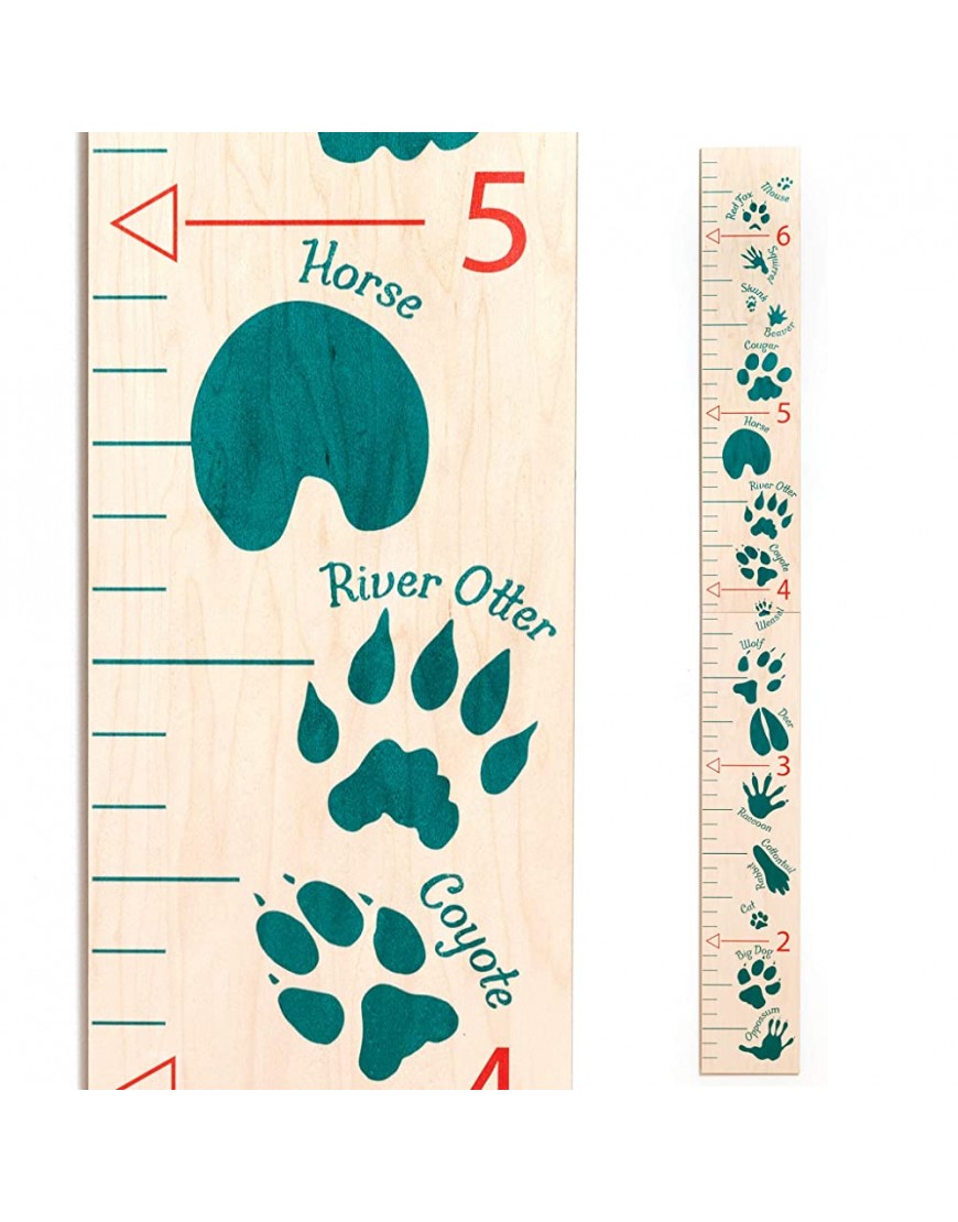 Headwaters Studio Animal Tracks Wooden Ruler Growth Chart Green - B32LYRHNK
