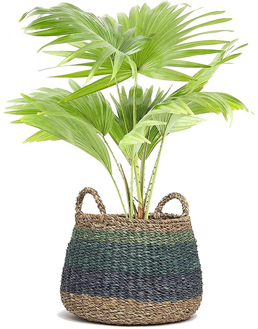 Fab Habitat Extra Large Storage Basket with Handles Handmade Natural Seagrass Wicker Organizer for Blankets Towels Pillows Toys Laundry Baby Kids Plants Home Décor Harlem Blue XL - BWLDDQIYJ