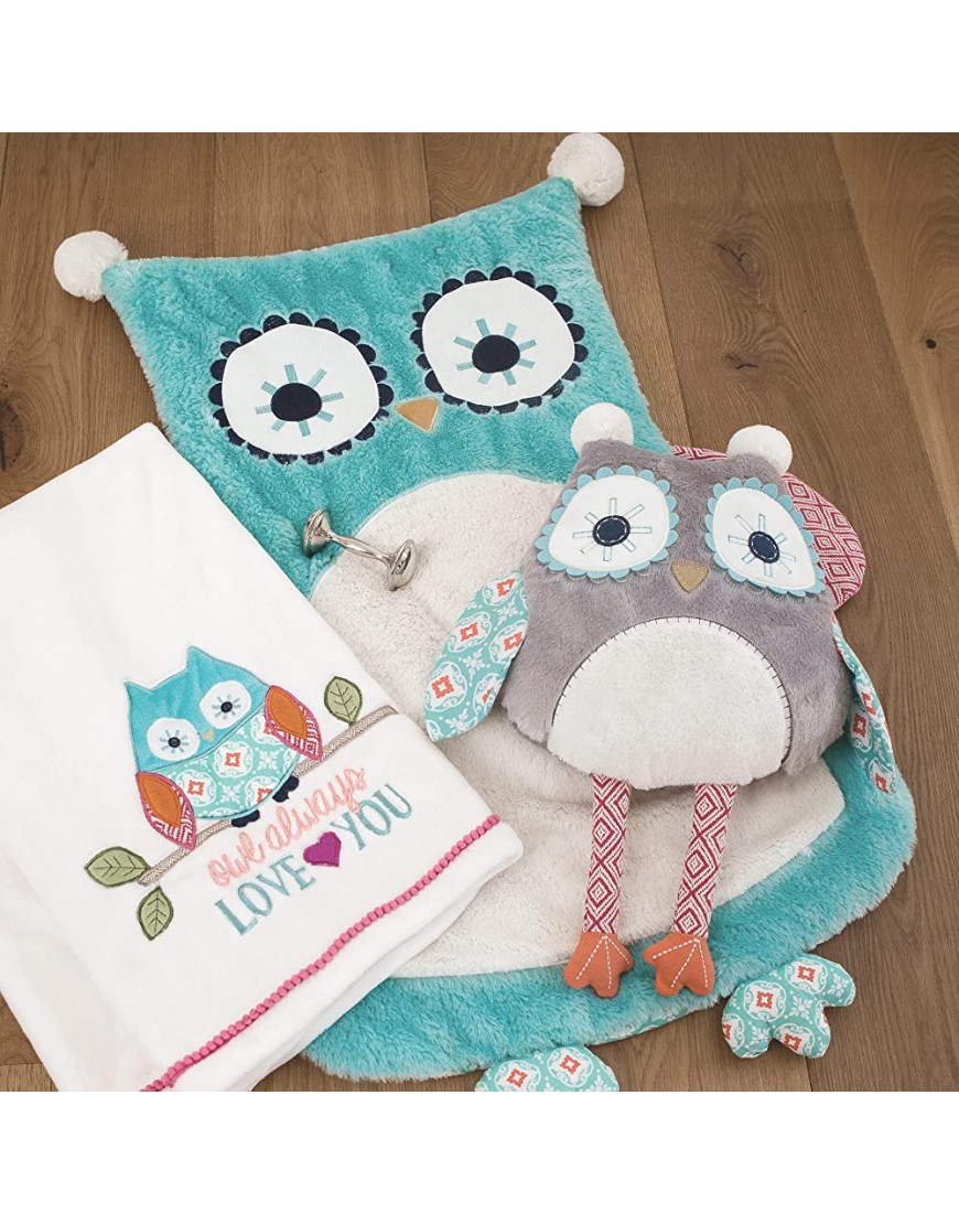 Levtex Baby Camille Plush Blanket Appliqued and Embroidered Owl with RIC Rac Trim Owl Always Love You Cream Blue Pink Nursery Accessories Blanket Size: 30 x 40 in. - B265T6RP0